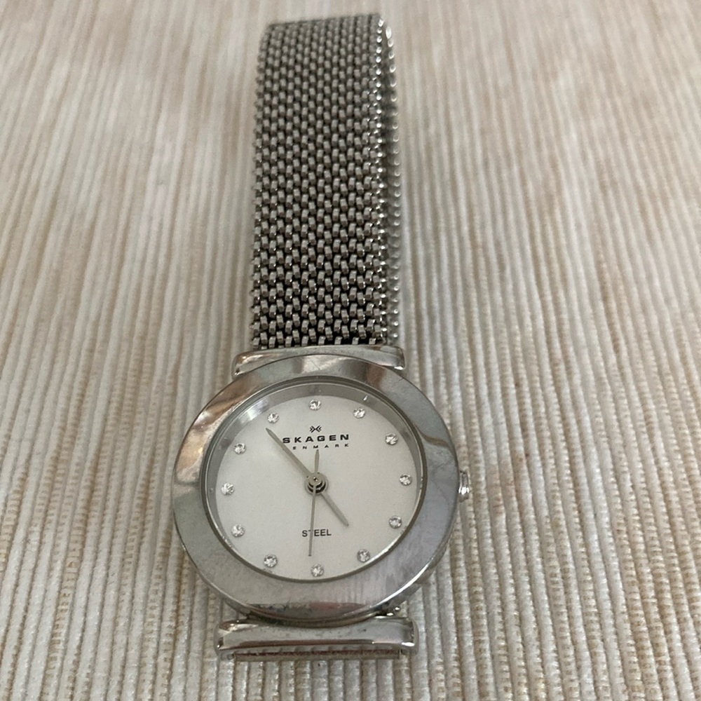 Skagen Silver Mesh Watch with Minimalist Design